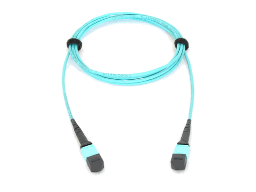 MTP Cable Assemblies